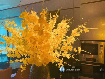 GoldSeason, Vietnam GoldSeason, Vietnam