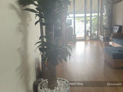 CT36 - Dream Home, Vietnam CT36 - Dream Home, Vietnam