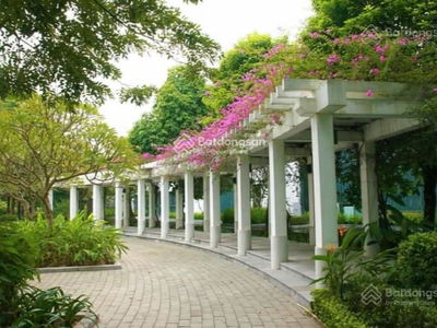 - An Lac Green Symphony, Vietnam - An Lac Green Symphony, Vietnam