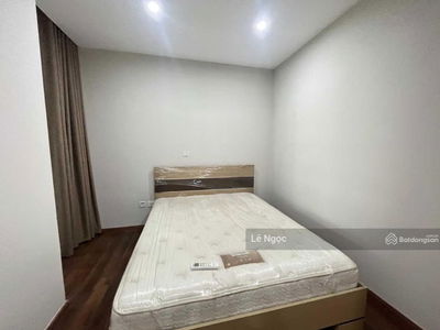 The Link, Vietnam The Link, Vietnam