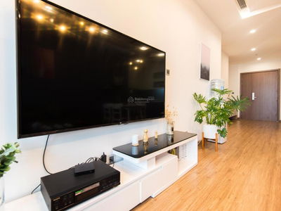 The Artemis Project, Vietnam The Artemis Project, Vietnam