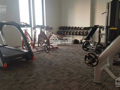 D-Vela, Vietnam D-Vela, Vietnam