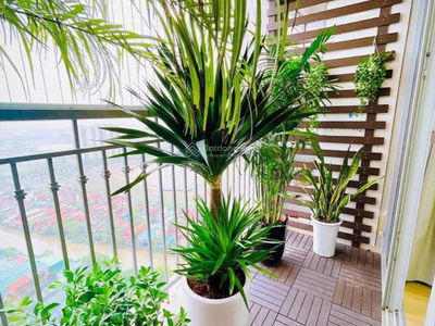 Golden Field My Dinh Project, Vietnam Golden Field My Dinh Project, Vietnam