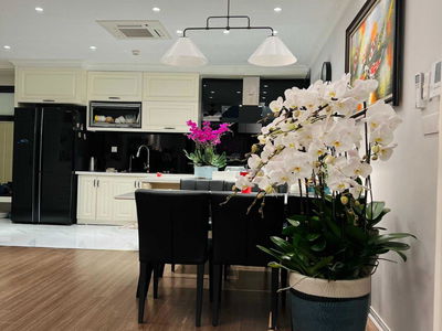 CT15 Viet Hung, Vietnam CT15 Viet Hung, Vietnam