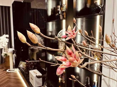 The Zen Residence Project, Vietnam The Zen Residence Project, Vietnam