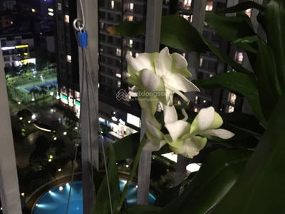 Vinhomes Gardenia Project, Vietnam Vinhomes Gardenia Project, Vietnam