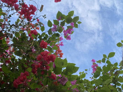 Duong Noi New Urban Area Project, Vietnam Duong Noi New Urban Area Project, Vietnam