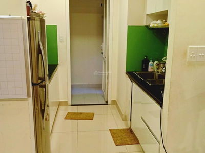 Washed Garden, Vietnam Washed Garden, Vietnam