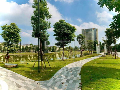 - An Lac Green Symphony, Vietnam - An Lac Green Symphony, Vietnam