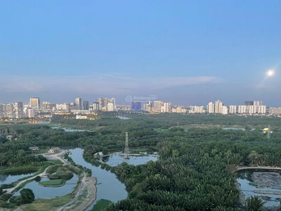 Dragon City, Vietnam Dragon City, Vietnam