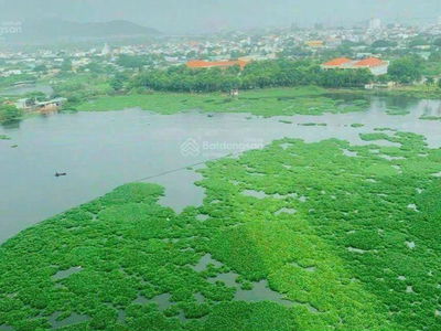 Dic Phoenix Project, Vietnam Dic Phoenix Project, Vietnam