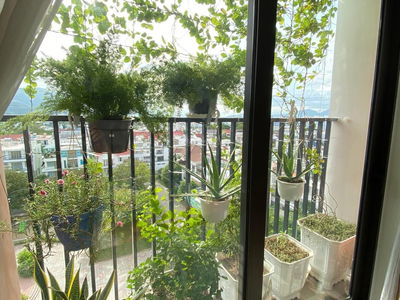 CT3 Vinh Diem Trung, Vietnam CT3 Vinh Diem Trung, Vietnam