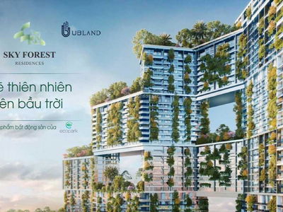 Sky Forest Residences Project, Vietnam Sky Forest Residences Project, Vietnam