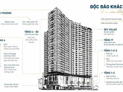 D-Man, Vietnam D-Man, Vietnam