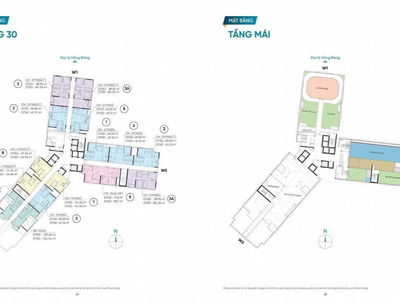 D-Man, Vietnam D-Man, Vietnam