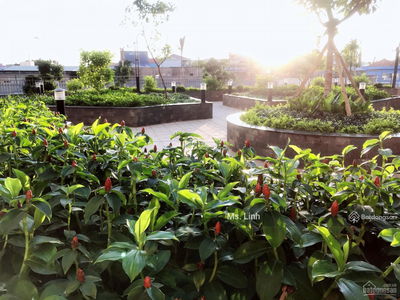 Samsora Riverside Project, Vietnam  Samsora Riverside Project, Vietnam