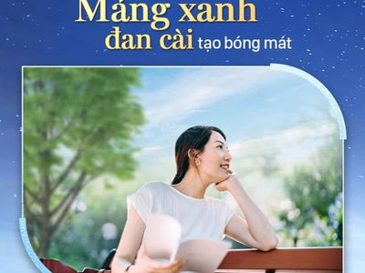 Moonlight Avenue, Vietnam Moonlight Avenue, Vietnam