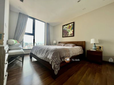 The Golden Armor Project, Vietnam The Golden Armor Project, Vietnam