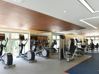 Scenic Valley 1, Vietnam Scenic Valley 1, Vietnam