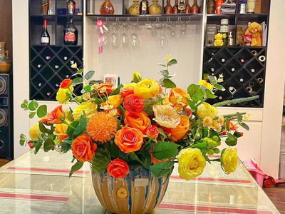 La Casta Van Phu Project, Vietnam La Casta Van Phu Project, Vietnam