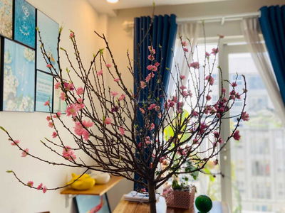 Samsora Riverside Project, Vietnam  Samsora Riverside Project, Vietnam