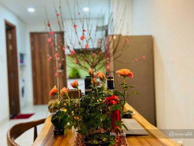 Samsora Riverside Project, Vietnam  Samsora Riverside Project, Vietnam