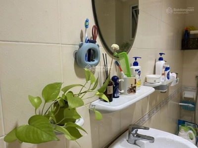 Viva Riverside, Vietnam Viva Riverside, Vietnam