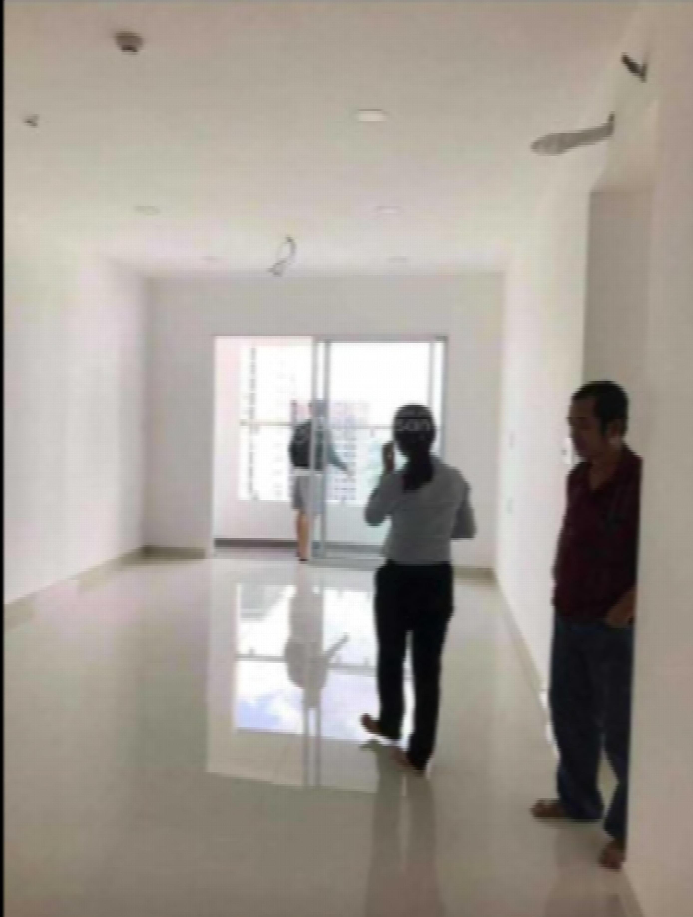 Tulip Tower, Vietnam Tulip Tower, Vietnam