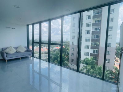 Calla Garden, Vietnam Calla Garden, Vietnam