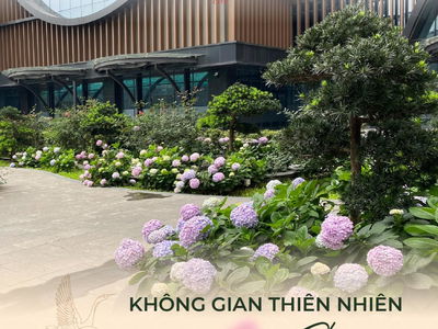 Hinode City Project, Vietnam Hinode City Project, Vietnam