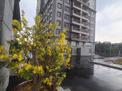 Paris Hoang Kim, Vietnam Paris Hoang Kim, Vietnam