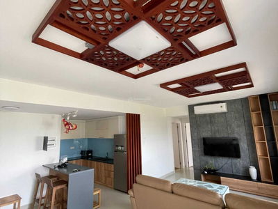 Topaz Twins Project, Vietnam  Topaz Twins Project, Vietnam