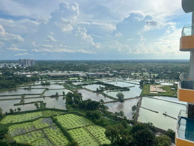 Terra Rosa, Vietnam Terra Rosa, Vietnam