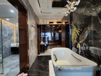 Dolphin Plaza Project, Vietnam Dolphin Plaza Project, Vietnam