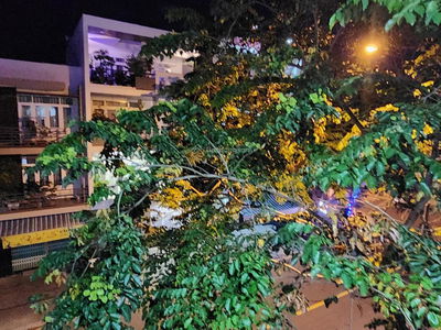 Phuoc Hai Industrial Park, Vietnam Phuoc Hai Industrial Park, Vietnam