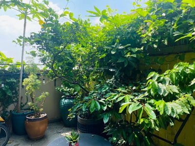 The Art, Vietnam The Art, Vietnam