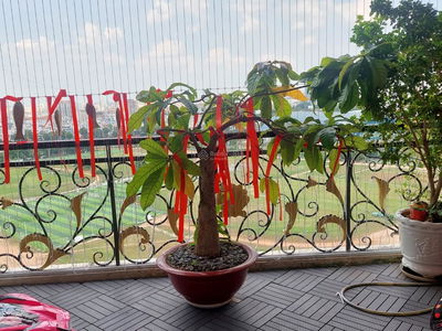 The Flemington, Vietnam The Flemington, Vietnam