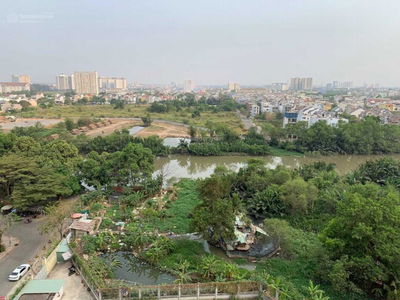 The Art, Vietnam The Art, Vietnam