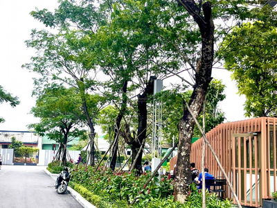 Opal Boulevard Project, Vietnam Opal Boulevard Project, Vietnam