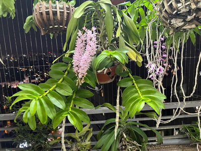 Truong Dinh Complex Project, Vietnam Truong Dinh Complex Project, Vietnam