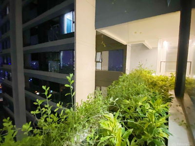 Kingdom 101, Vietnam Kingdom 101, Vietnam