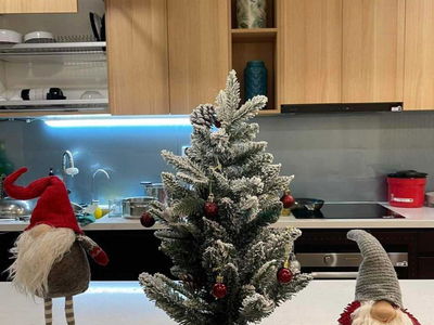 Sky Park Residence Project Sky Park Residence Project