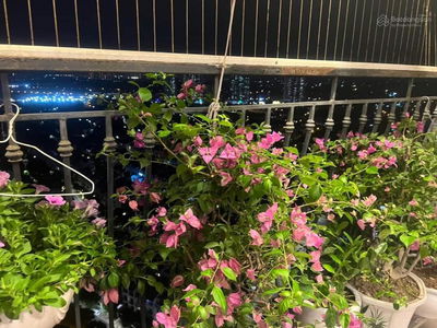 Gelexia Riverside, Vietnam Gelexia Riverside, Vietnam