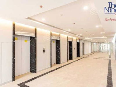 The Nine, Vietnam The Nine, Vietnam