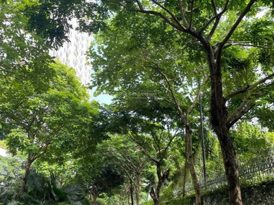 Ecolife Capitol Project, Vietnam Ecolife Capitol Project, Vietnam