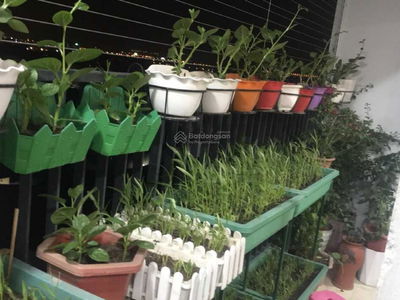 TSG Lotus Sai Dong, Vietnam TSG Lotus Sai Dong, Vietnam