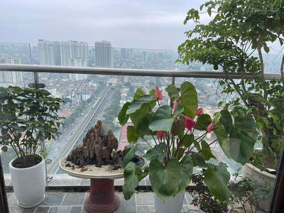 Gold Tower, Vietnam Gold Tower, Vietnam