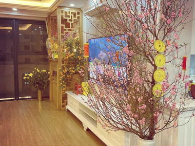 Iris Garden, Vietnam Iris Garden, Vietnam