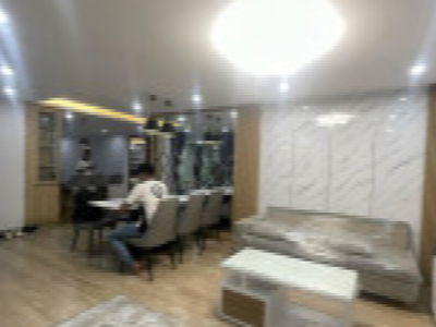 Dic Phoenix Project, Vietnam Dic Phoenix Project, Vietnam