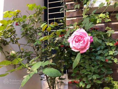 789 General Staff - Ministry of National Defense, Vietnam  789 General Staff - Ministry of National Defense, Vietnam